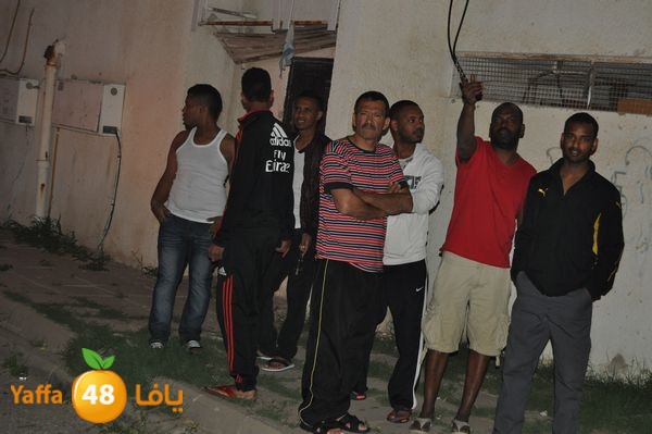 ramlainfejar315 (9).JPG